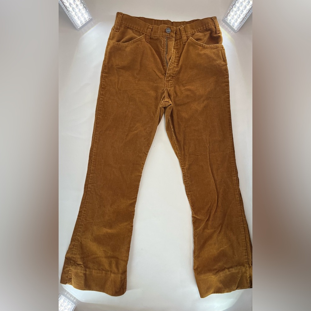 Levi Strauss and Co Pants W-31 L-32